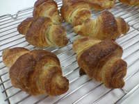 http://koeda.torebo-kichijoji.jp/image/D1000439-thumbnail4.jpg